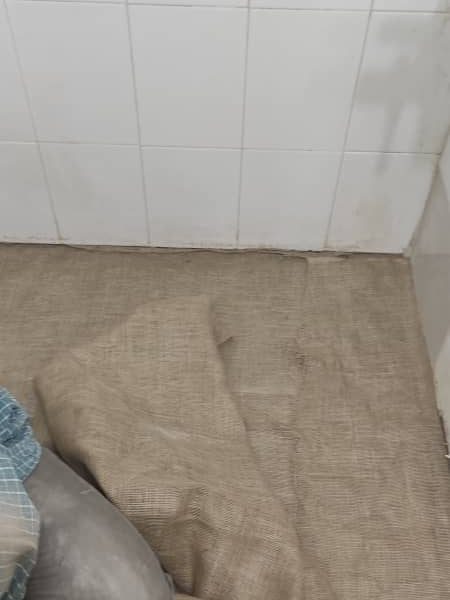 فراتاسیسات 6504194949